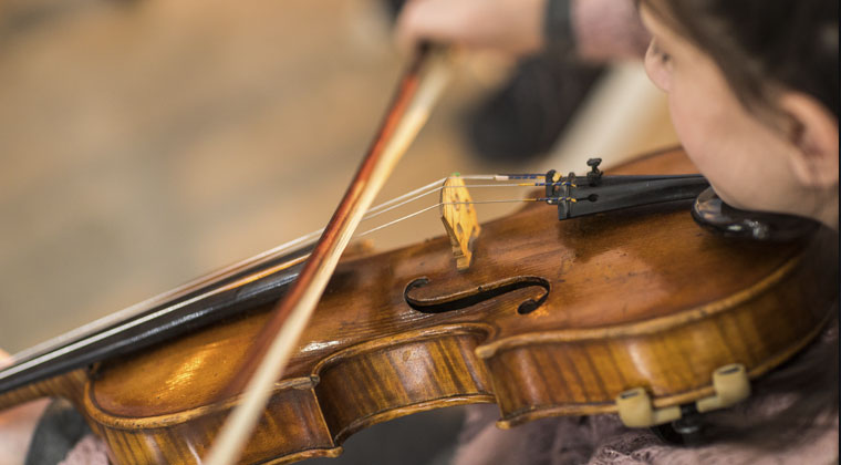 做小提琴最好用什么木材?